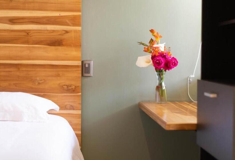 اتاق لوکس, Casa Montana