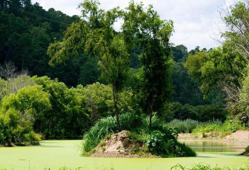 اتاق استاندارد, Casa Montana