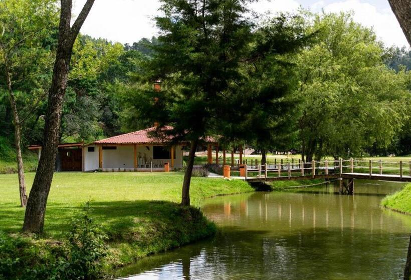 اتاق استاندارد, Casa Montana