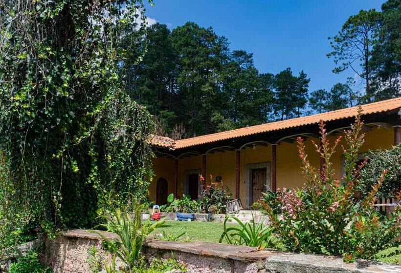 اتاق لوکس, Casa Montana