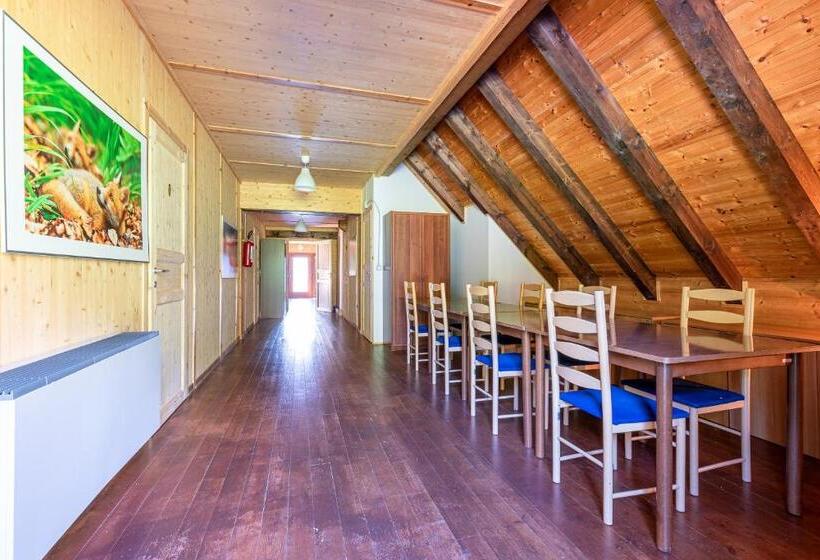 חדר סטנדרט, Zoncolan Camping Caravan