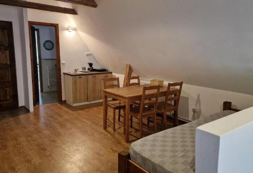 חדר משפחתי, Studio Rasnov Apartaments