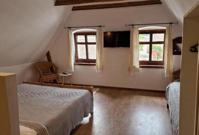 חדר משפחתי, Studio Rasnov Apartaments