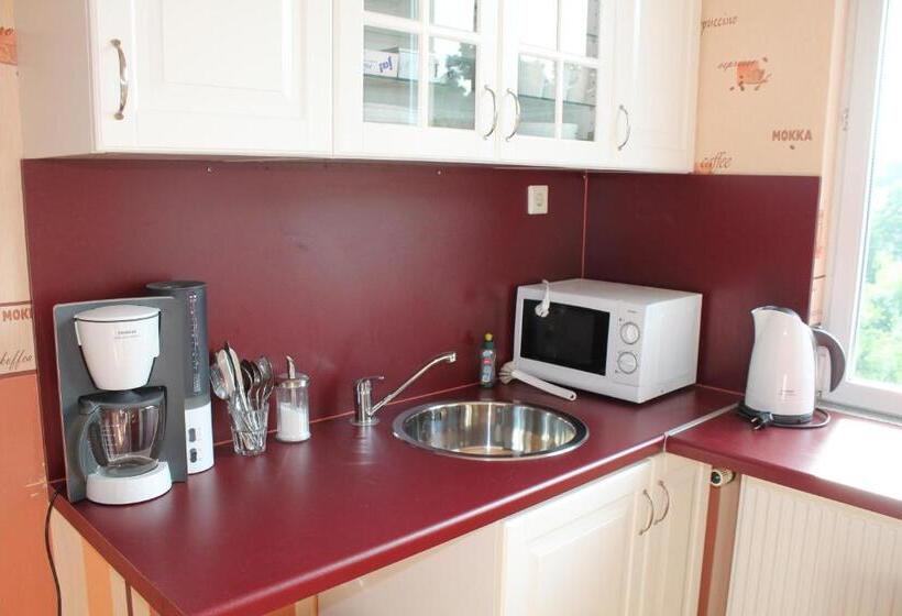 غرفة قياسية حمام مشترك, Anno 1900 Hotel Babelsberg