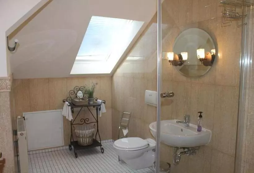 اتاق استاندارد با سرویس بهداشتی مشترک, Anno 1900 Hotel Babelsberg