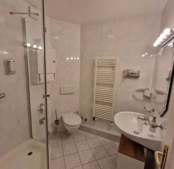 اتاق استاندارد, City Hotel Hanseatic Bremen