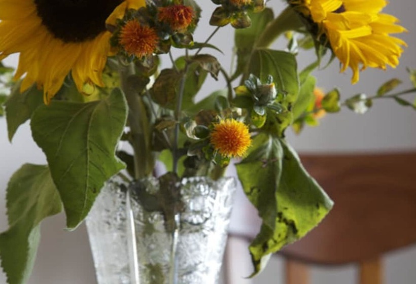 スタンダードルーム, Badehaus Goor