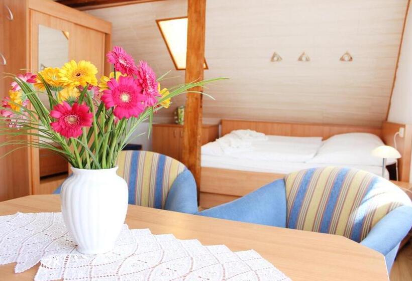 스탠다드 스튜디오, Pension Kirschstein