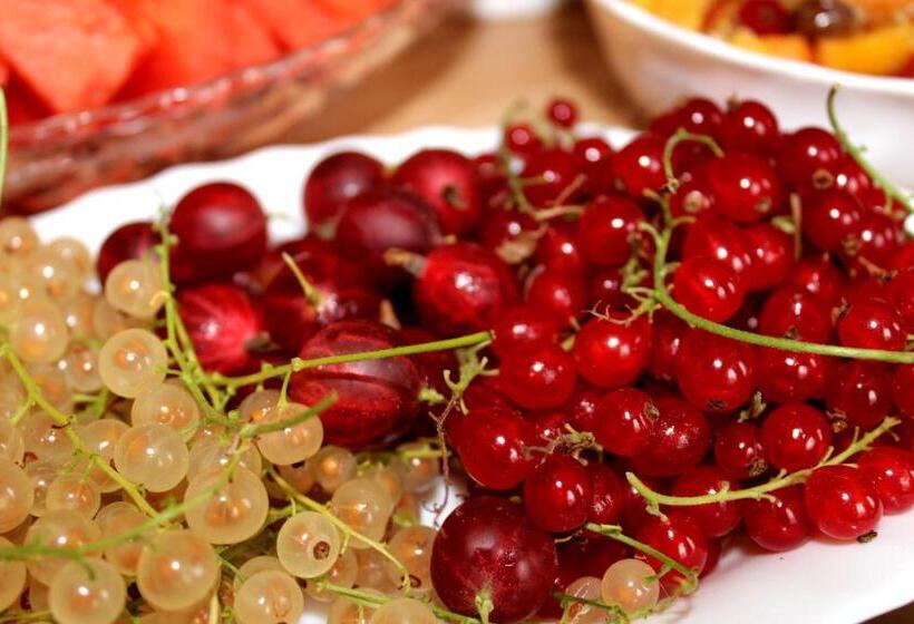 스탠다드 싱글 룸, The Avalon