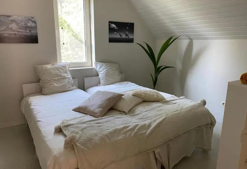 スイート（家族用）, B&b Maison Blanche