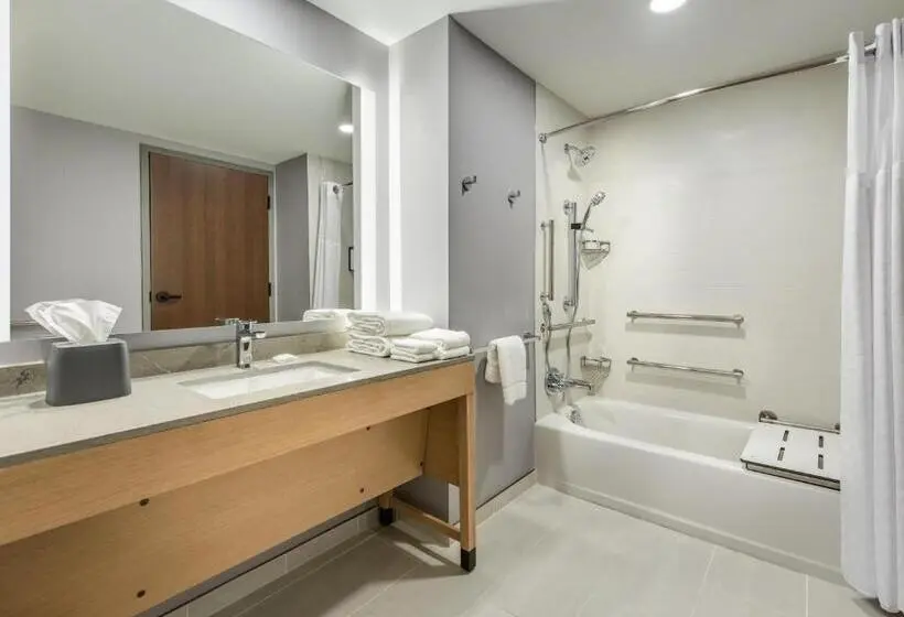 身障者適用キングサイズベッドルーム, Hyatt Place Kent Narrows And Marina