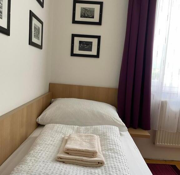 带观景的标准工作室, Rosental Apartments Self Check In