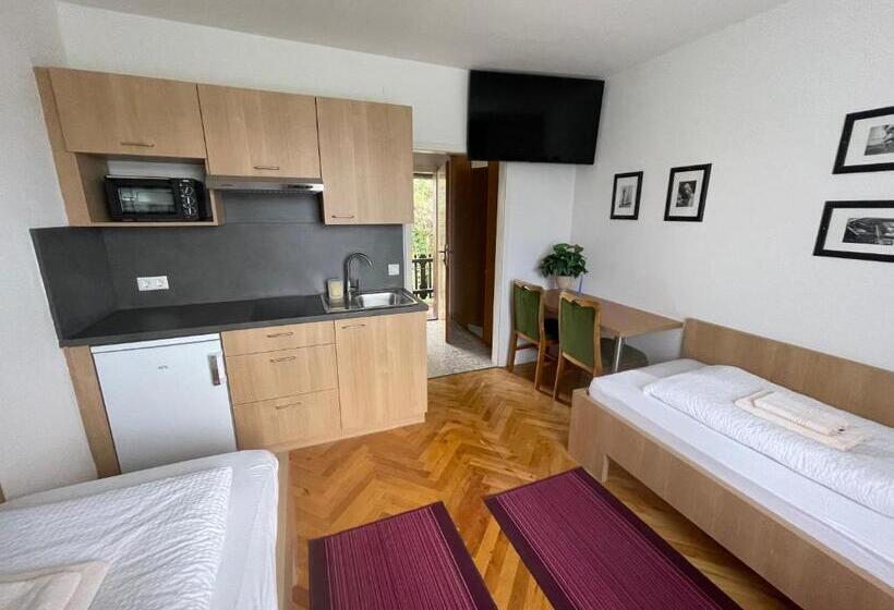 带观景的标准工作室, Rosental Apartments Self Check In