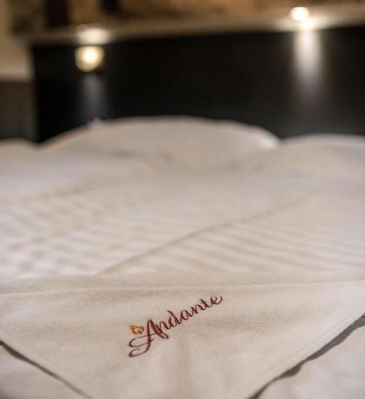 اتاق استاندارد, Andante Pension & Restaurant