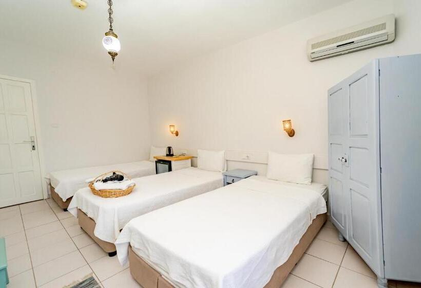 اتاق استاندارد سه نفره, Golden Lighthouse