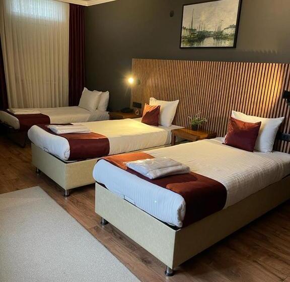 Трехместный Номер Классика, Gosterisli Otel