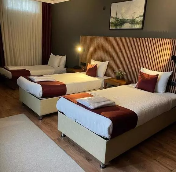 Classic Kolmen Hengen Huone, Gosterisli Otel