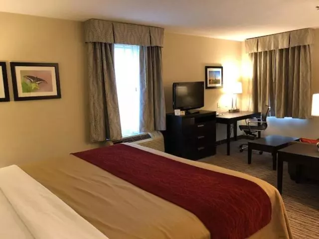キングサイズベッドのエクゼクティブ, Inn At Clinton