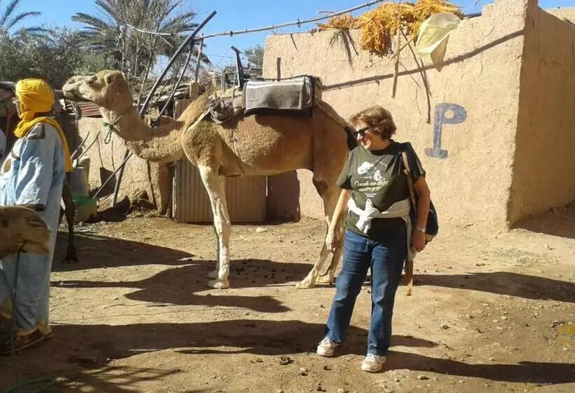 スイート, Kasbah Dar Dmana