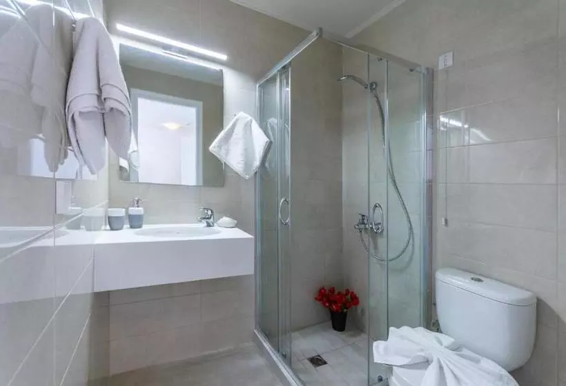 エコノミールーム, Irini Apartments