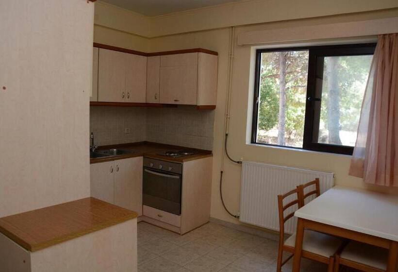 דירת חדר סופריור, Niki Hotel Apartments