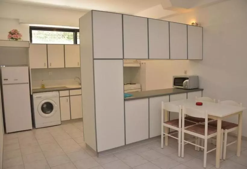 آپارتمان اکونومی 1 خوابه, Niki Hotel Apartments