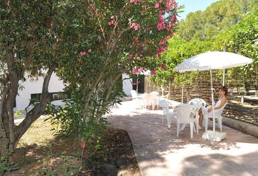 דירת חדר אקונומי, Niki Hotel Apartments