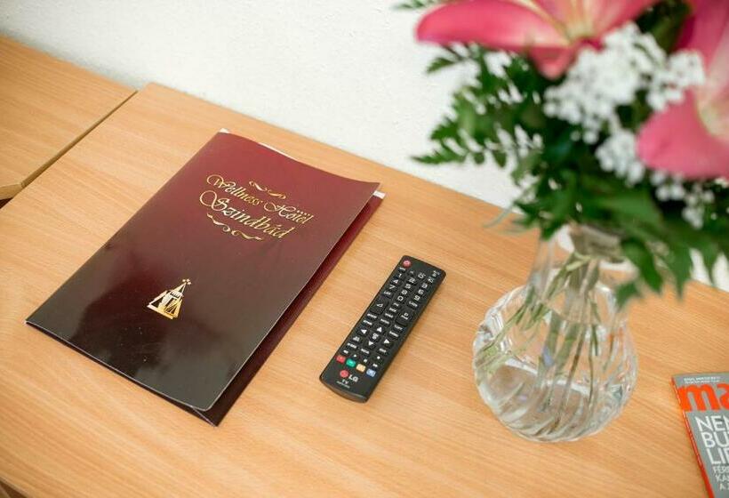 스탠다드 룸, Wellness Hotel Szindbád