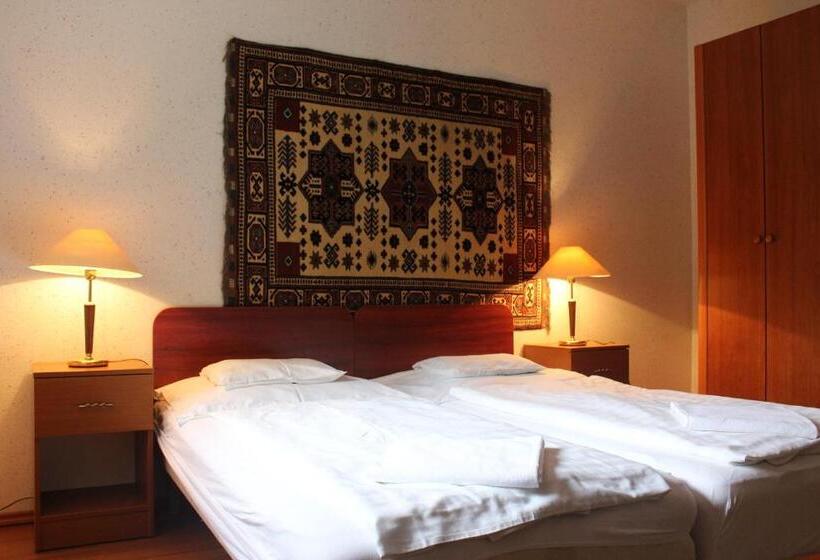 스탠다드 룸, Wellness Hotel Szindbád