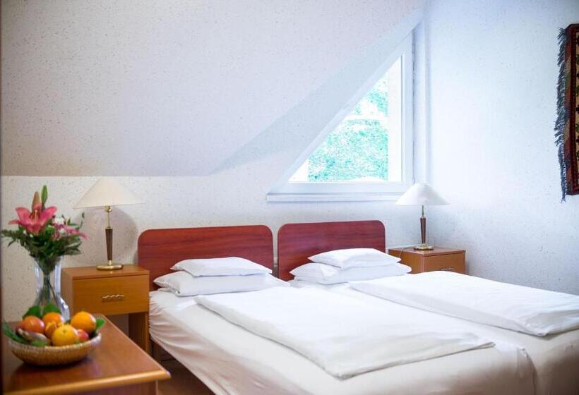 스탠다드 룸, Wellness Hotel Szindbád