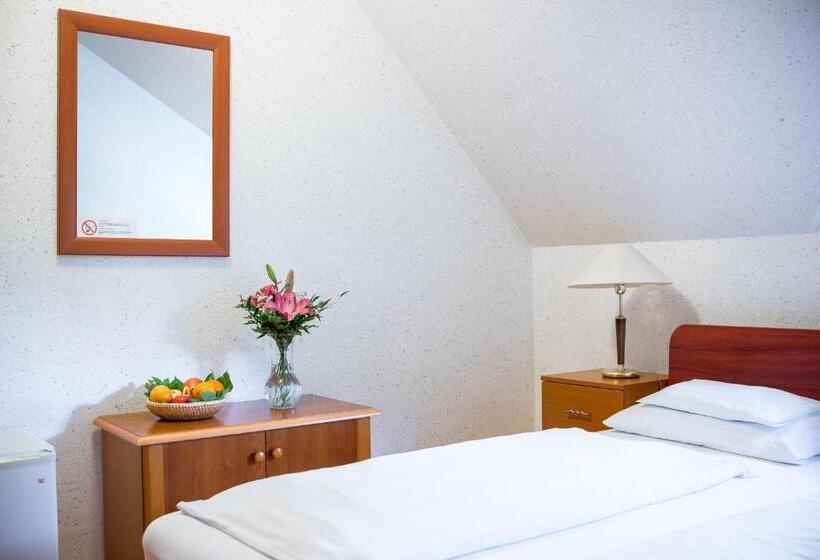 스탠다드 룸, Wellness Hotel Szindbád