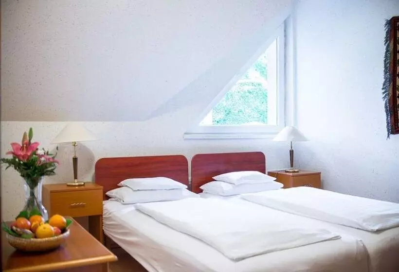 スタンダードルーム, Wellness Hotel Szindbád