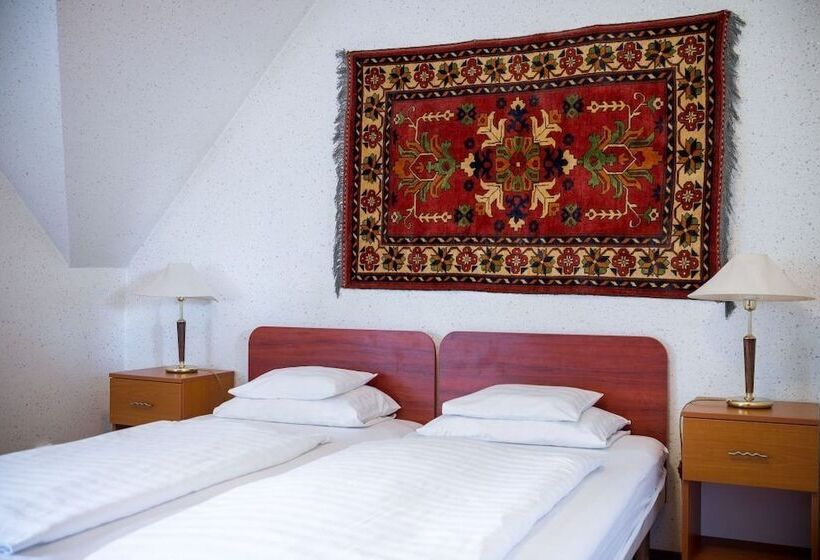 스탠다드 싱글 룸, Wellness Hotel Szindbád