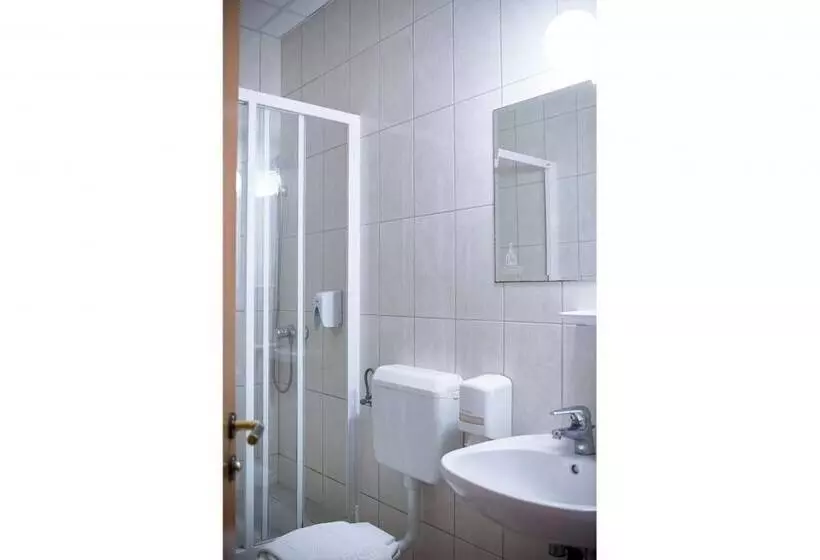 スタンダードシングルルーム, Wellness Hotel Szindbád