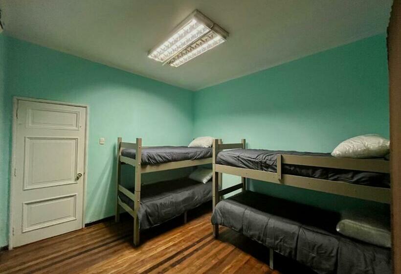 Кровать в Общей Комнате, Viva Chile Hostel Providencia