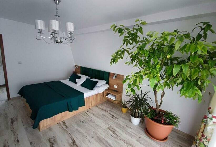 اتاق لوکس با بالکن, Casa De Vacanta Estera Rucar