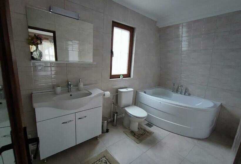 غرفة ديلوكس مزودة بشرفة, Casa De Vacanta Estera Rucar