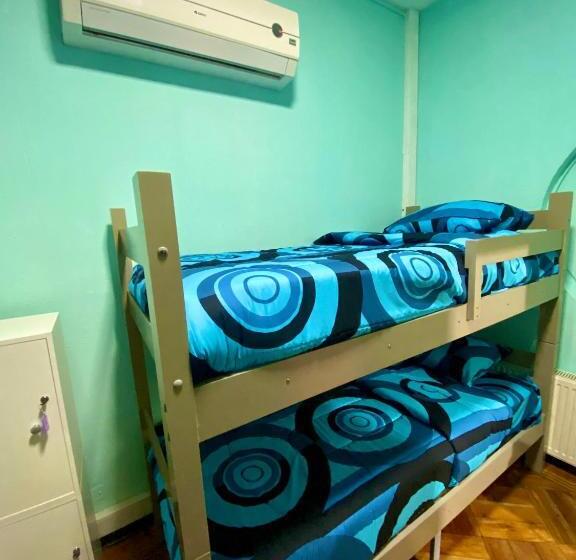 Кровать в Общей Комнате, Viva Chile Hostel Providencia