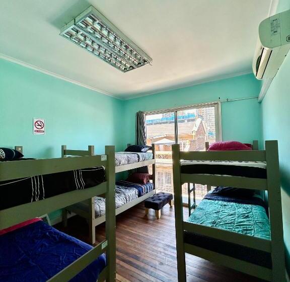 공동 객실, Viva Chile Hostel Providencia