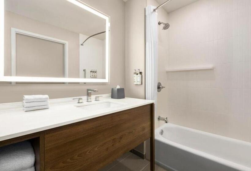 Номер Премиум, Staybridge Suites   Lexington S Medical Ctr Area, An Ihg