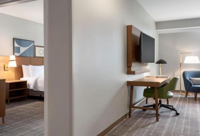 سوئیت با تخت بزرگ, Staybridge Suites   Lexington S Medical Ctr Area, An Ihg