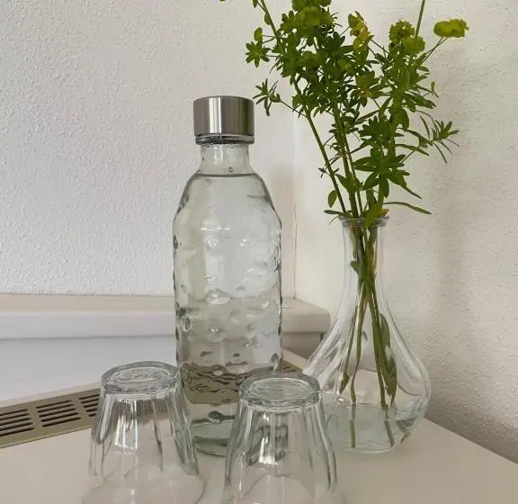 スーペリアールーム, Boutique Guesthouse Das Wohlgemuth Heim Mosel Weingut