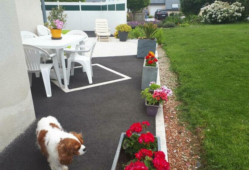 Семейный Номер, Macareux