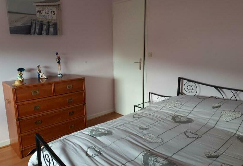 Номер Стандарт, Macareux