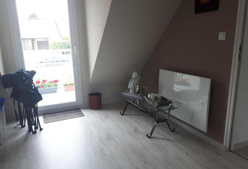 Номер Стандарт, Macareux