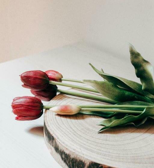 آپارتمان 1 خوابه, My Loft