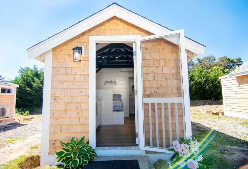 Номер Стандарт, Prince Of Whales