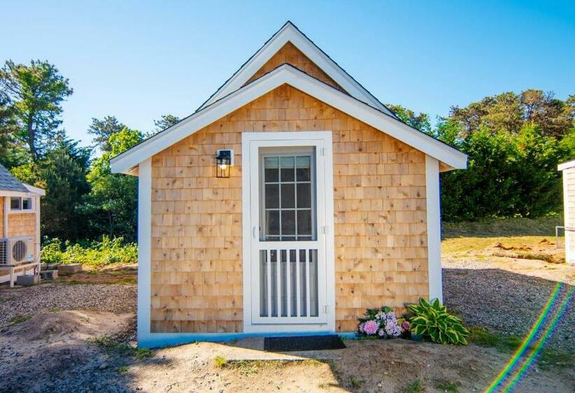 Номер Стандарт, Prince Of Whales