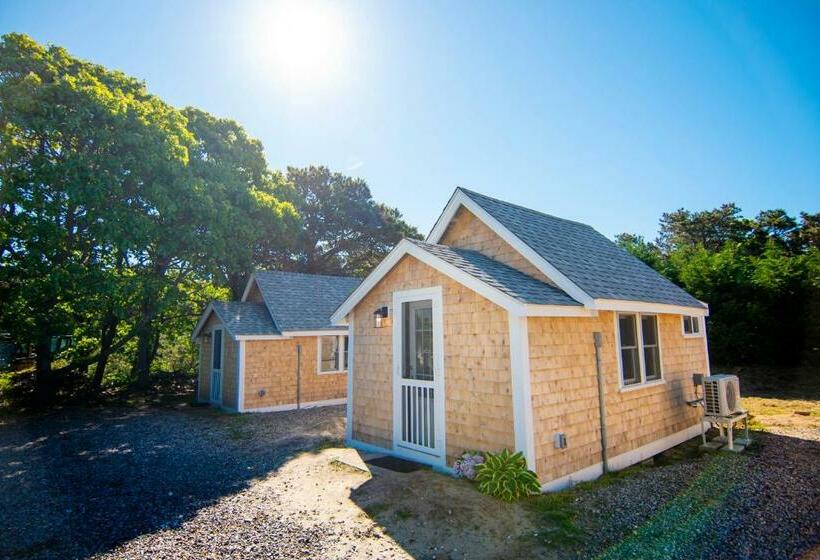 Номер Стандарт, Prince Of Whales