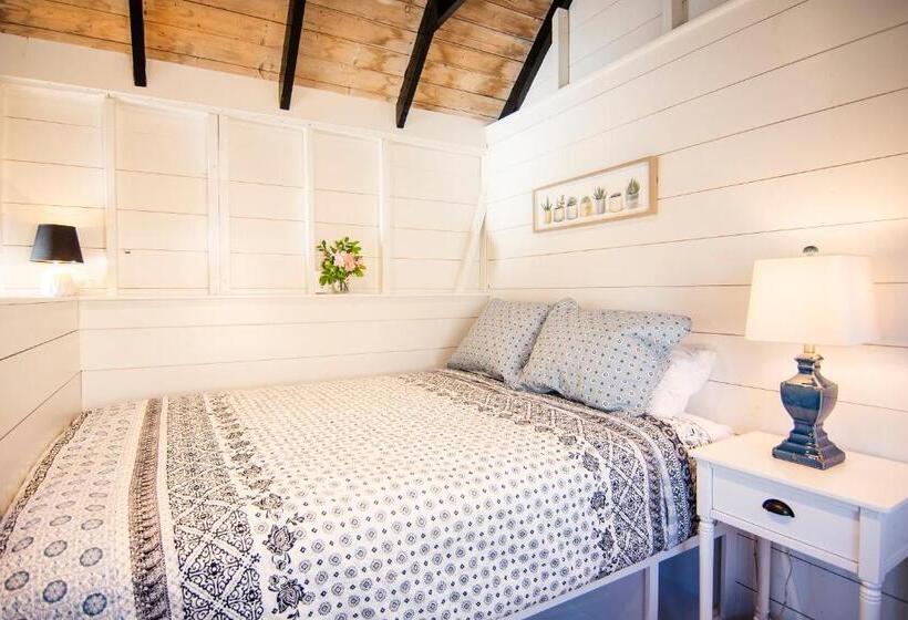 Номер Стандарт, Prince Of Whales